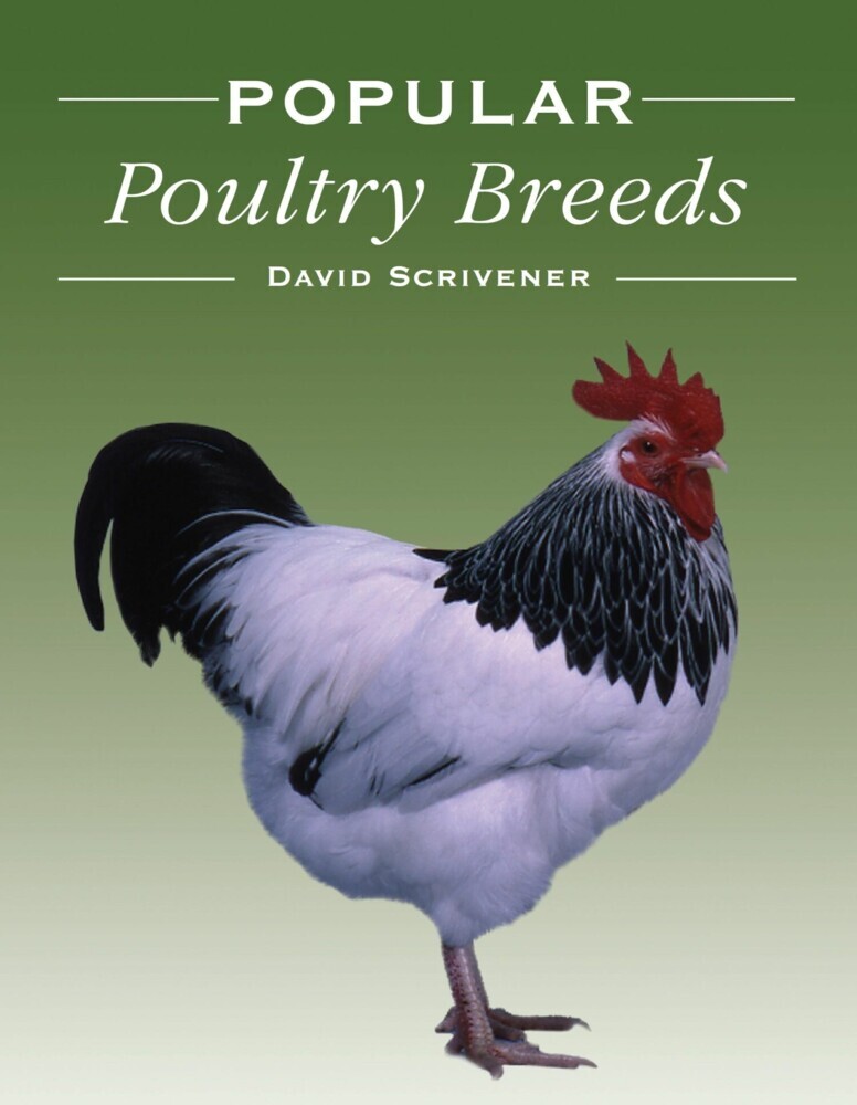 Popular Poultry Breeds main product photo