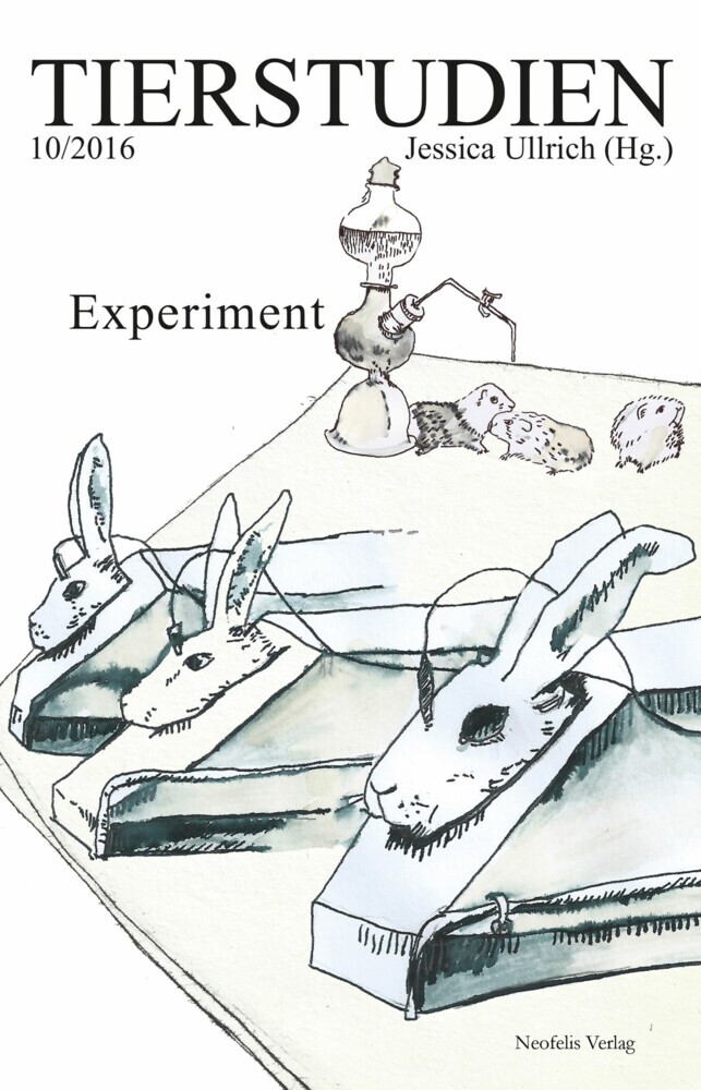 Experiment main product photo