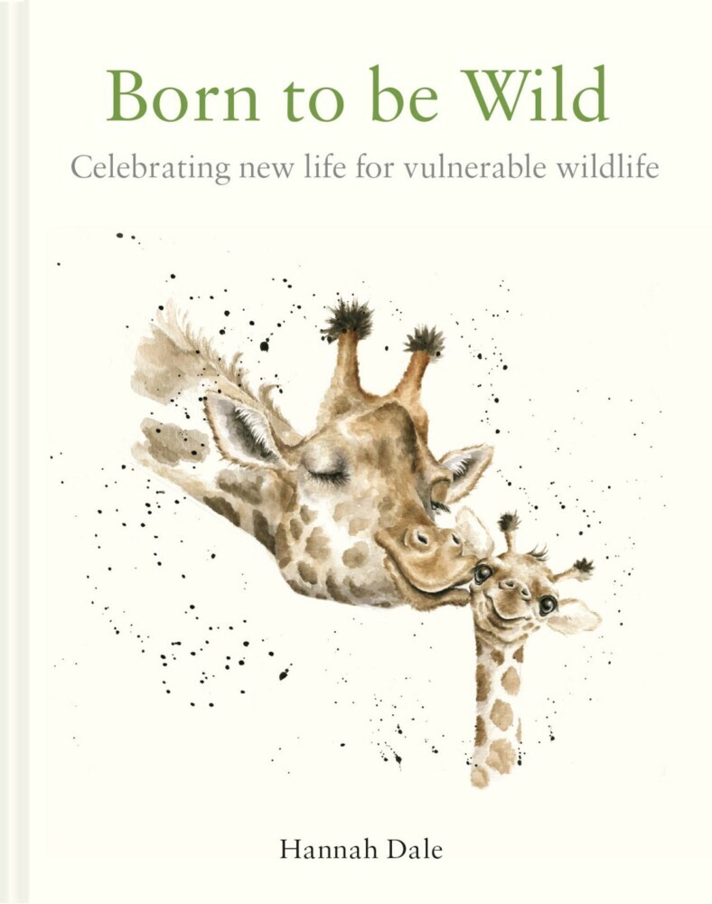 Born to be Wild main product photo