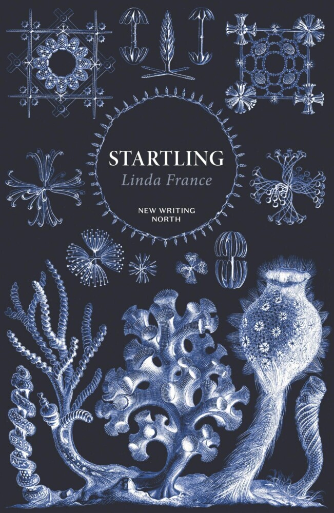 Startling main product photo
