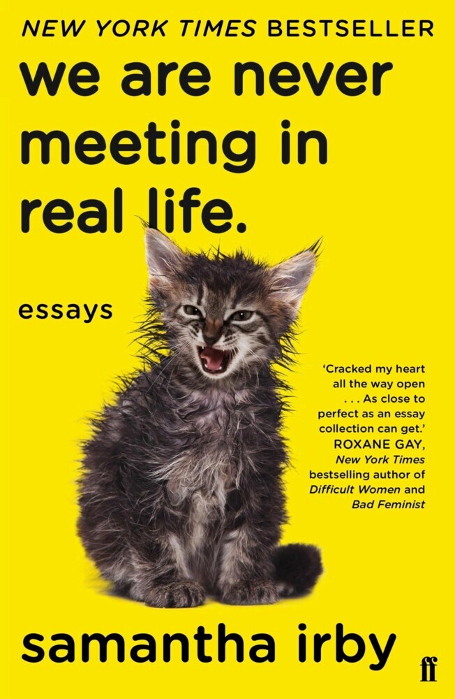 We Are Never Meeting in Real Life main product photo