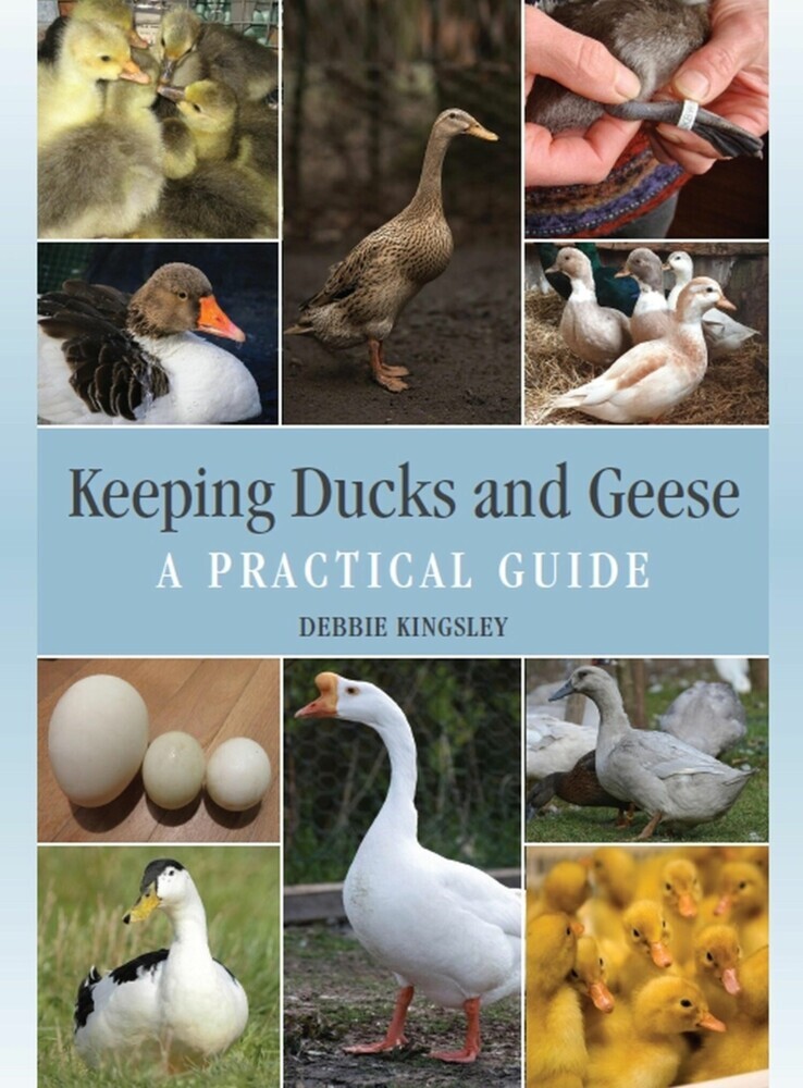 Keeping Ducks and Geese main product photo