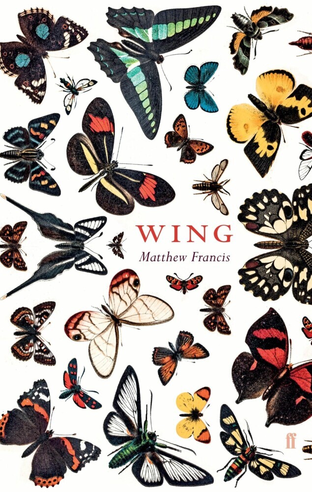 Wing main product photo