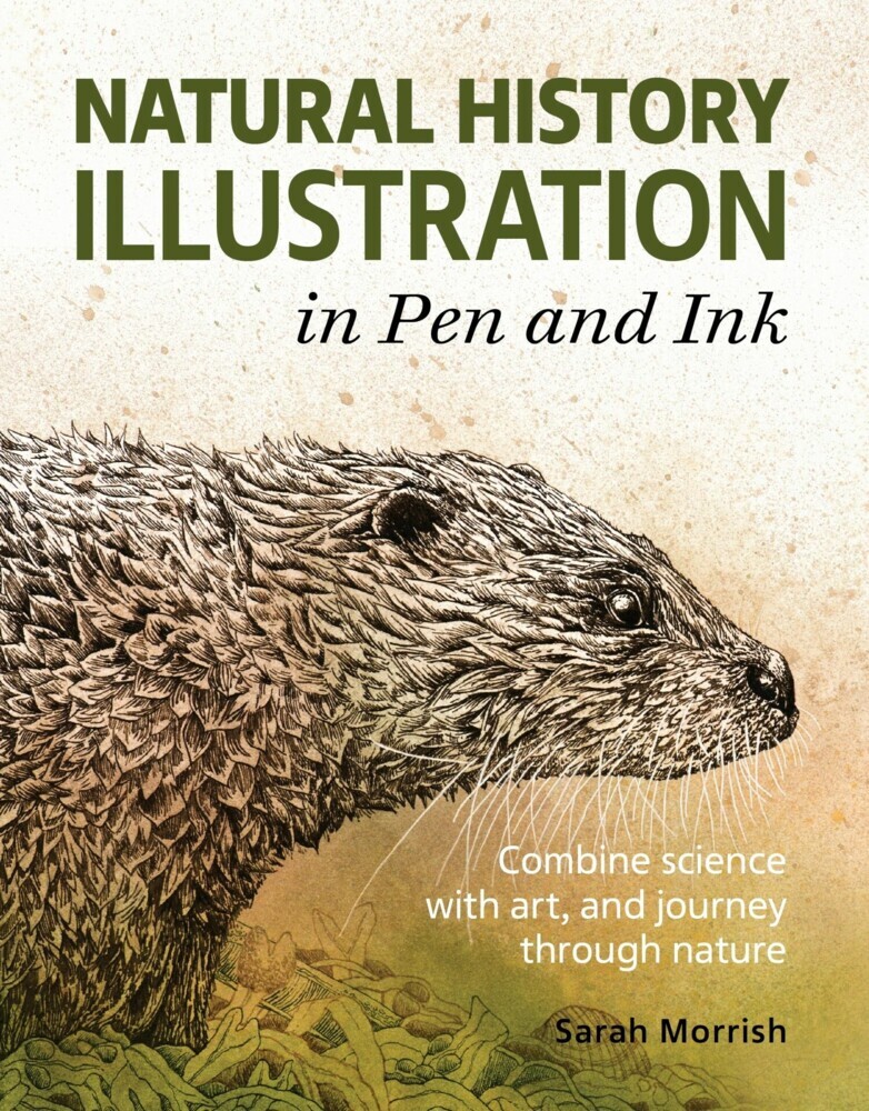 Natural History Illustration in Pen and Ink main product photo