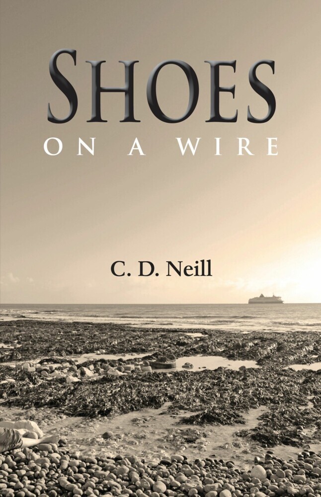 Shoes on a Wire main product photo