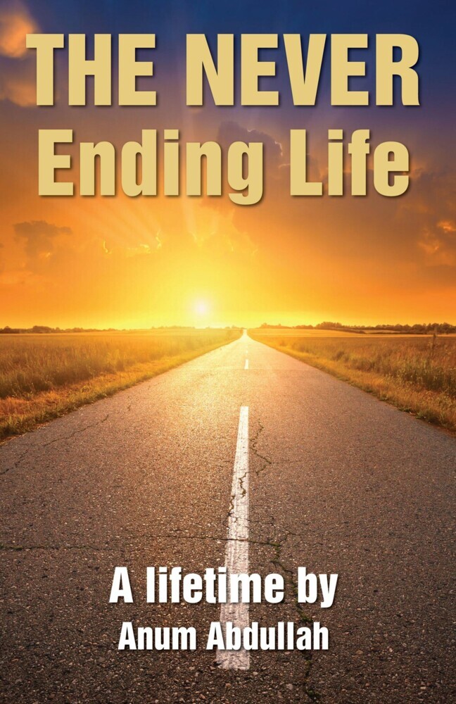 The Never Ending Life main product photo