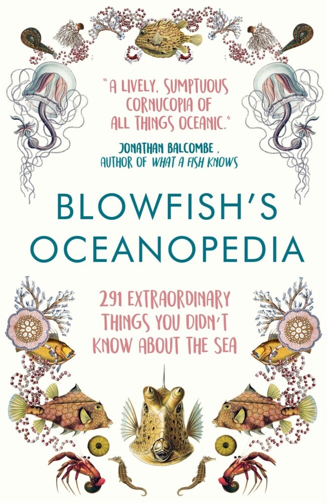 Blowfish's Oceanopedia main product photo