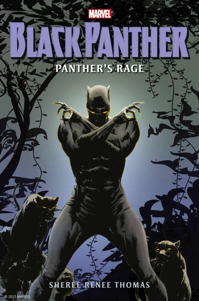 Black Panther: Panther's Rage main product photo