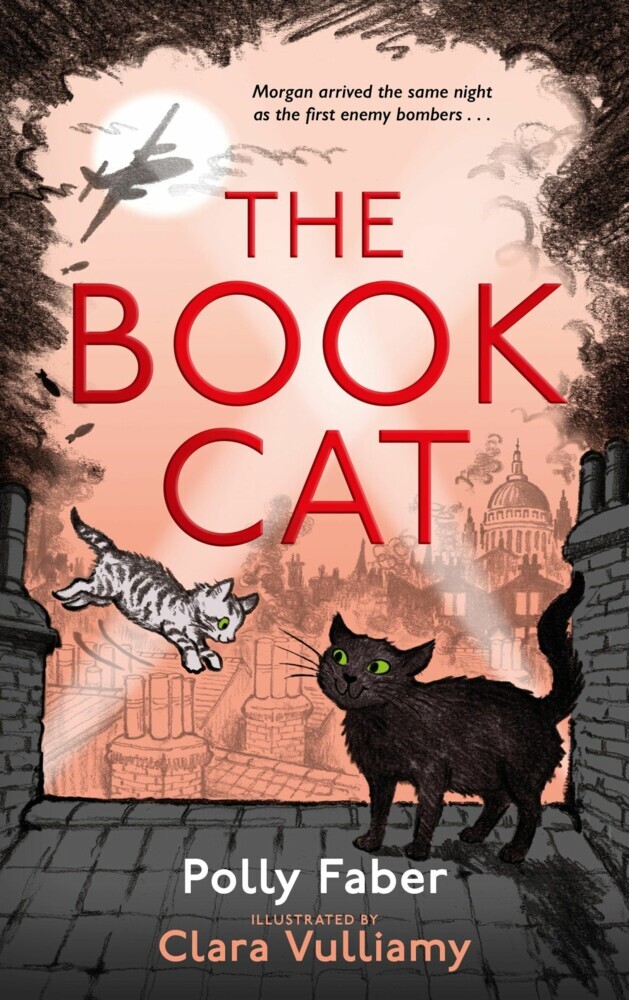 The Book Cat main product photo