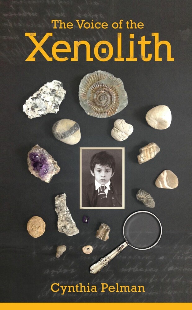 The Voice of the Xenolith main product photo