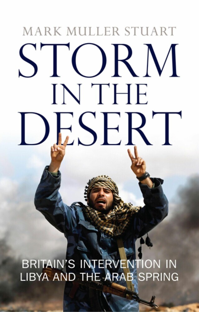 Storm in the Desert main product photo