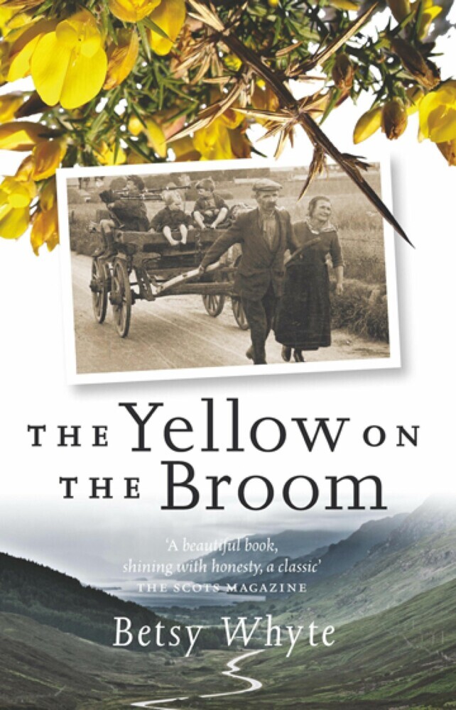 The Yellow on the Broom main product photo