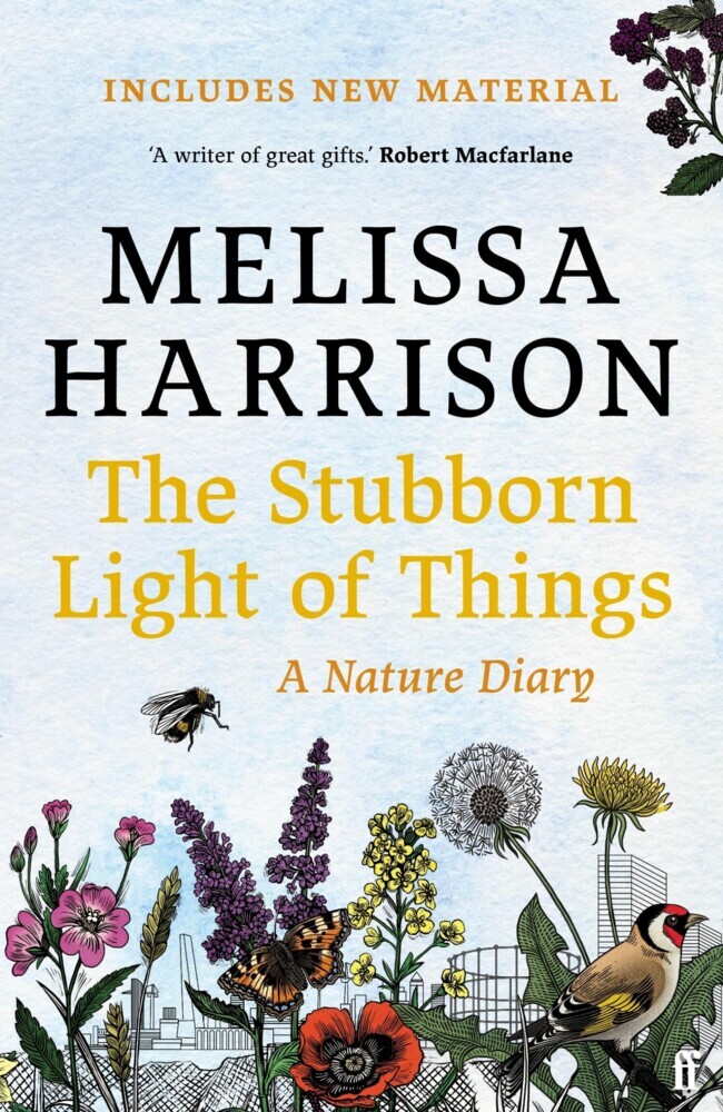 The Stubborn Light of Things main product photo