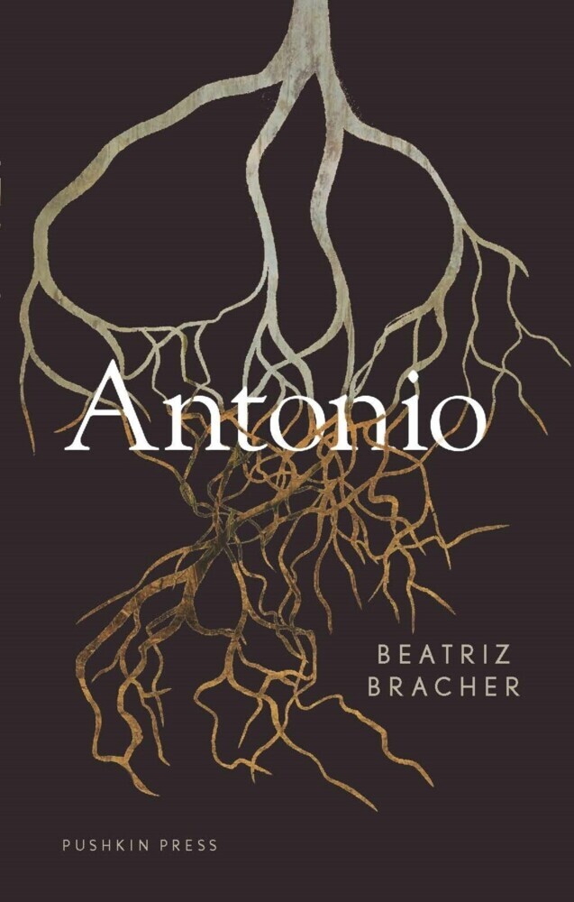 Antonio main product photo