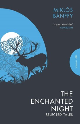 The Enchanted Night