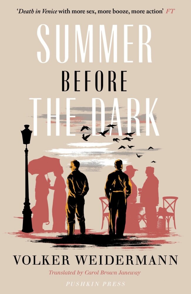 Summer Before the Dark main product photo