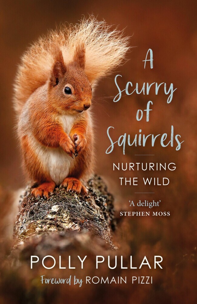 A Scurry of Squirrels main product photo