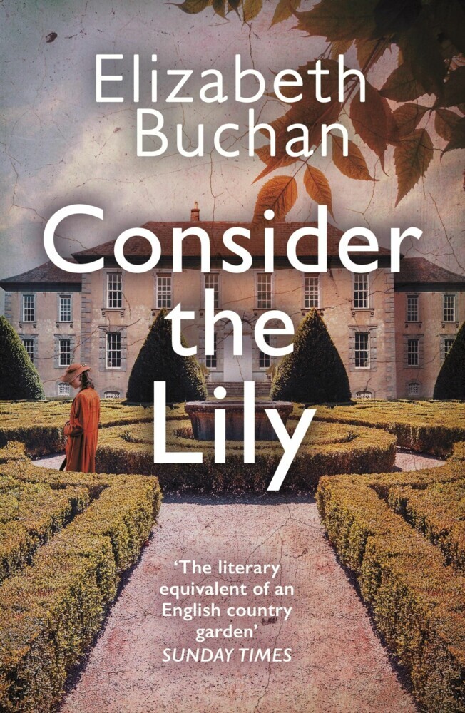 Consider the Lily main product photo