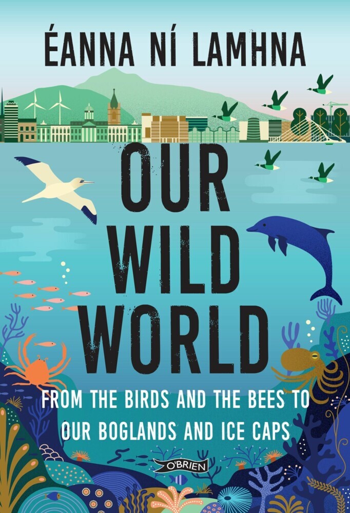 Our Wild World main product photo
