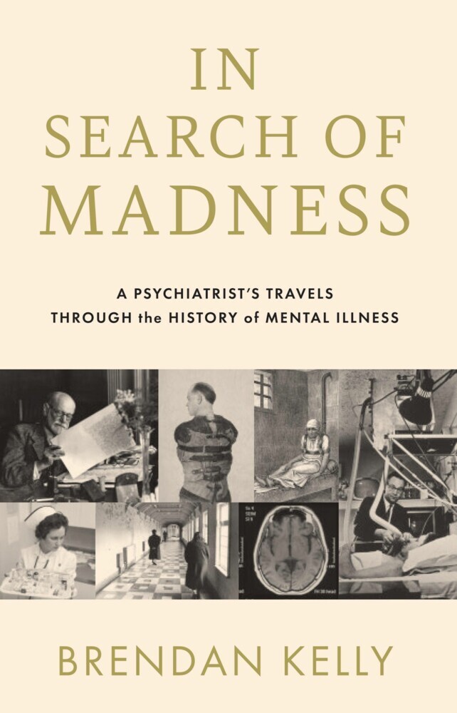 In Search of Madness main product photo