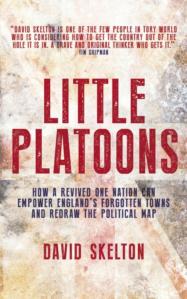 Little Platoons main product photo