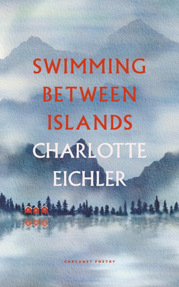 Swimming Between Islands main product photo