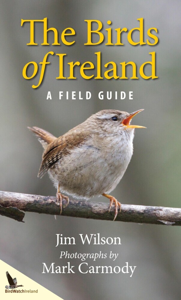 The Birds of Ireland main product photo