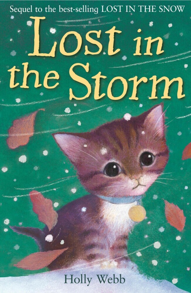 Lost in the Storm main product photo