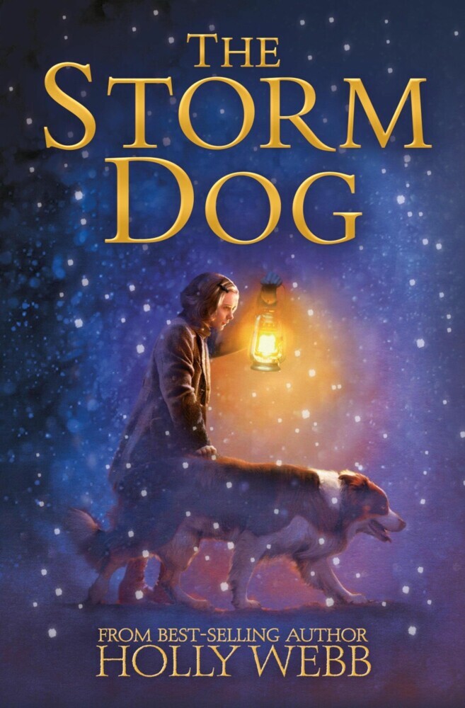 The Storm Dog main product photo