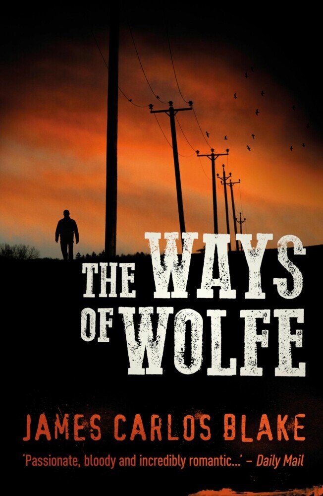 The Ways of Wolfe main product photo