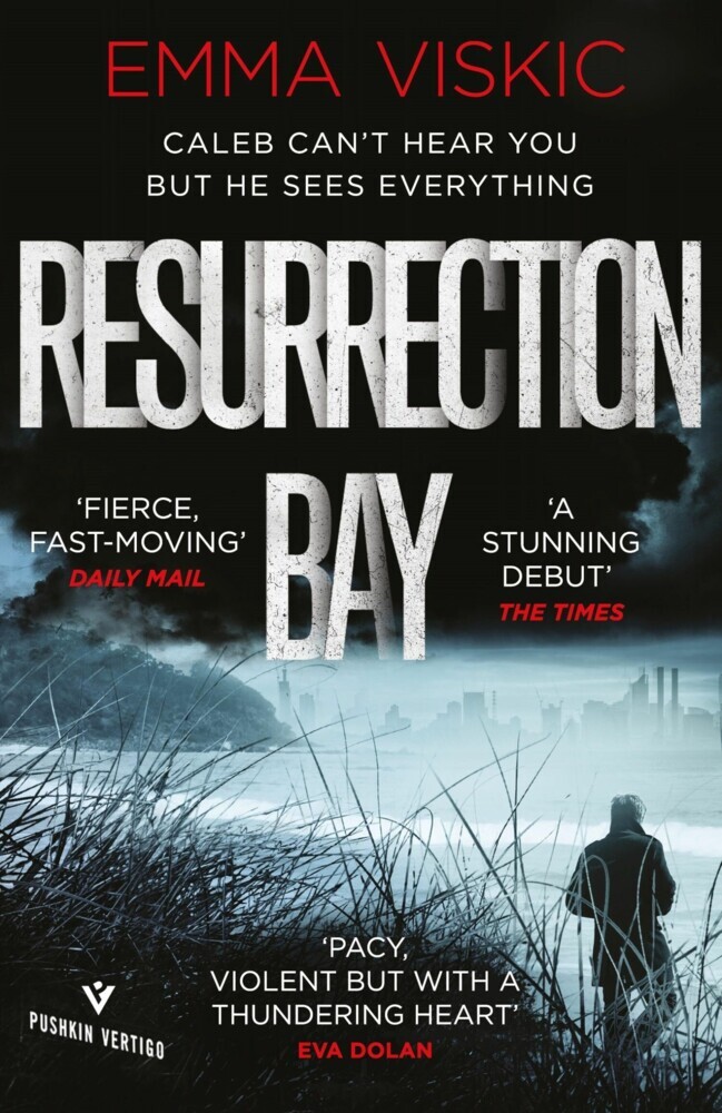 Resurrection Bay main product photo