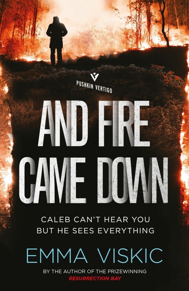 And Fire Came Down main product photo