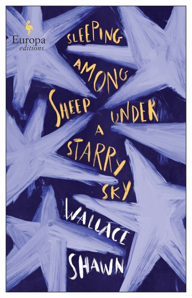 Sleeping Among Sheep Under a Starry Sky main product photo