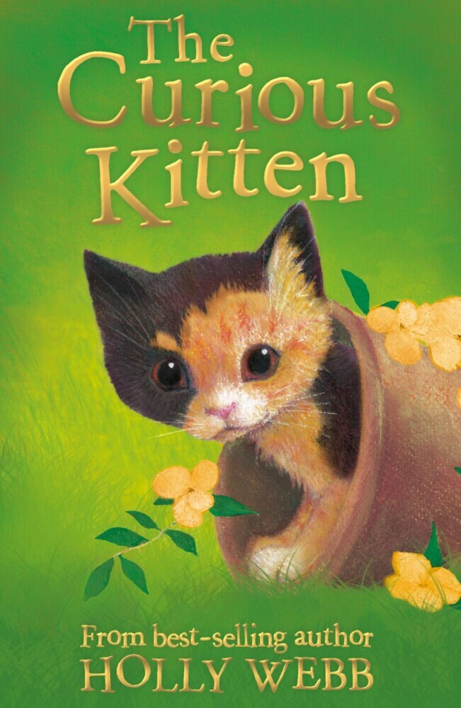 The Curious Kitten main product photo