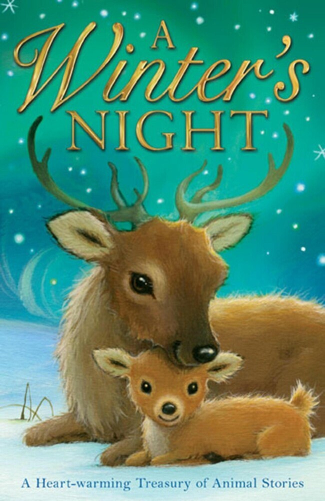 A Winter's Night main product photo