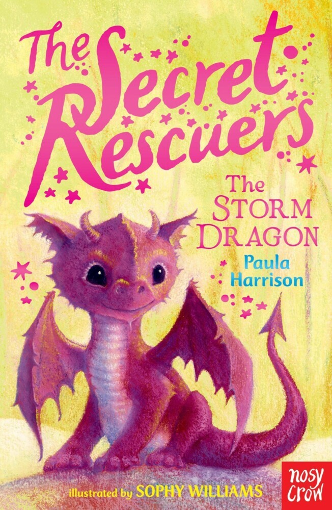 The Secret Rescuers: The Storm Dragon main product photo