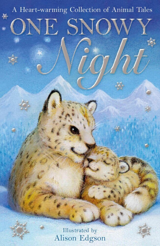One Snowy Night main product photo