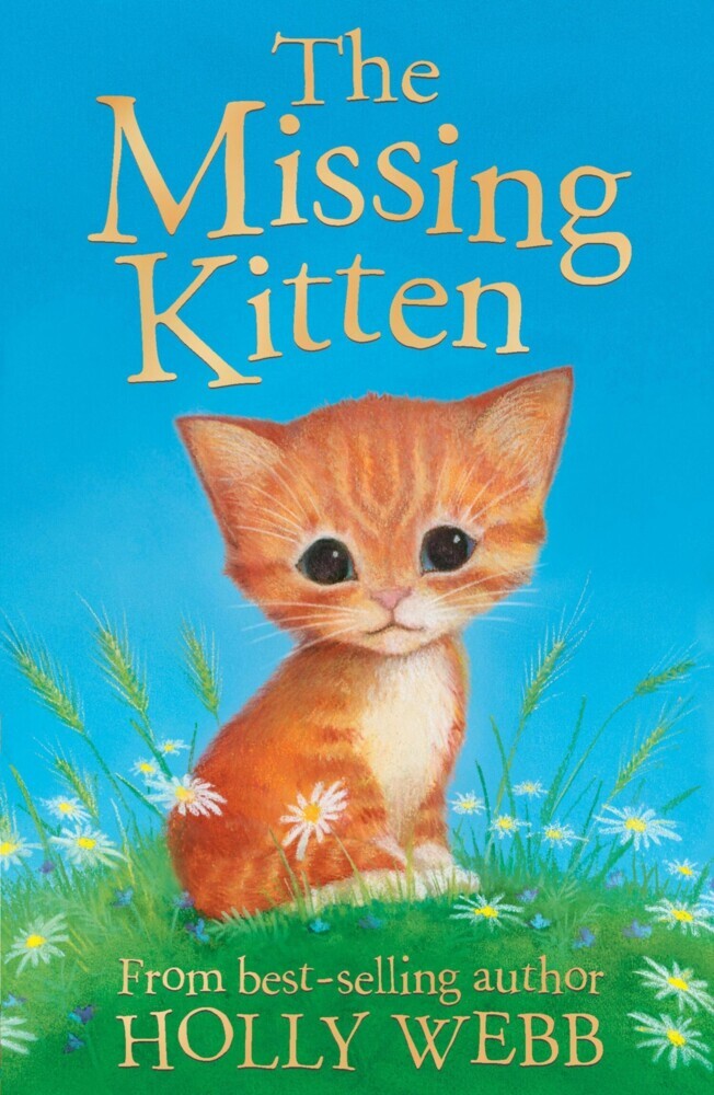 The Missing Kitten main product photo