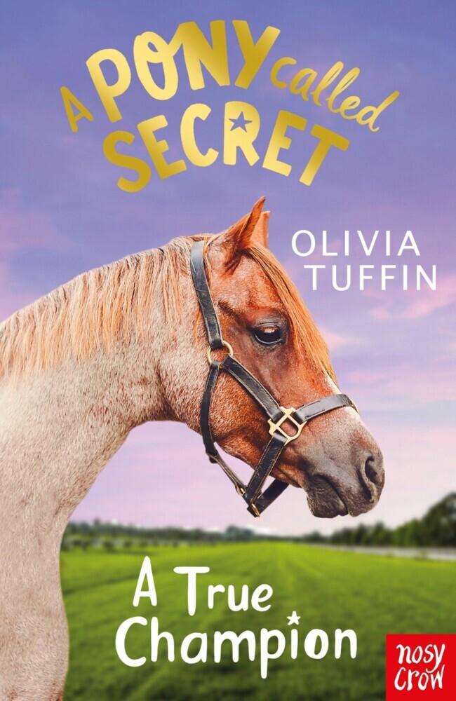 A Pony Called Secret: A True Champion main product photo
