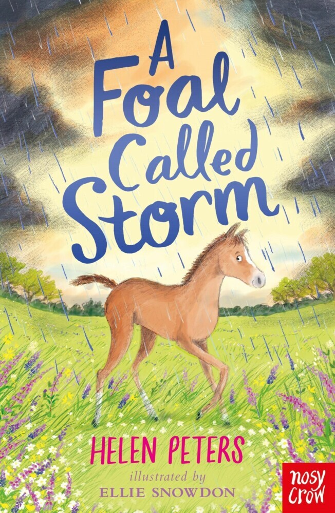 A Foal Called Storm main product photo