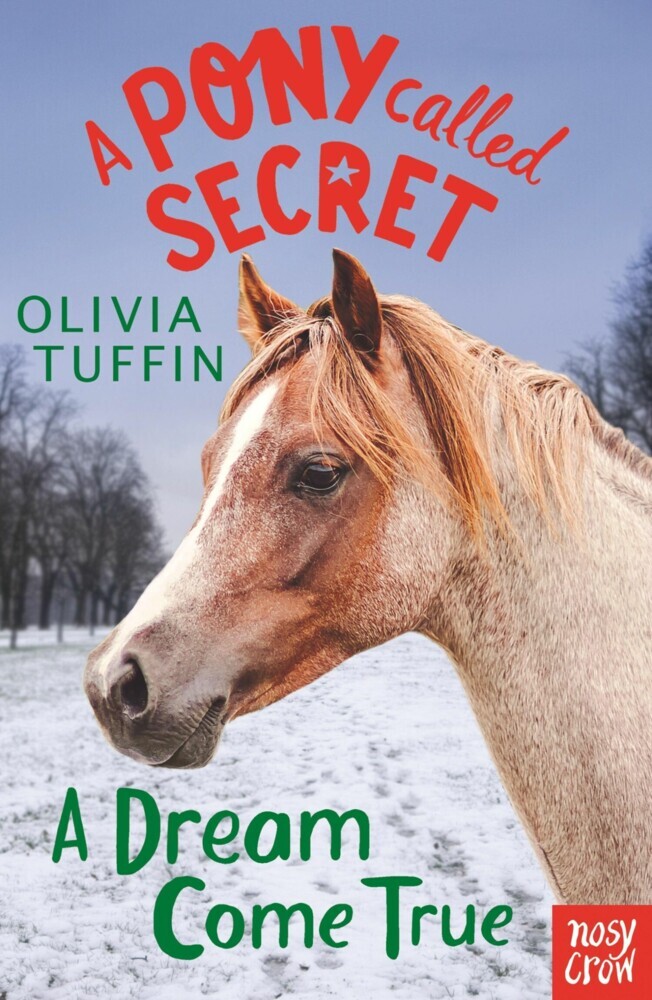 A Pony Called Secret: A Dream Come True main product photo