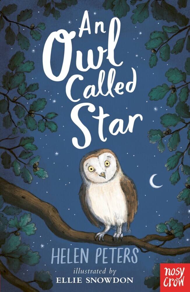 An Owl Called Star main product photo