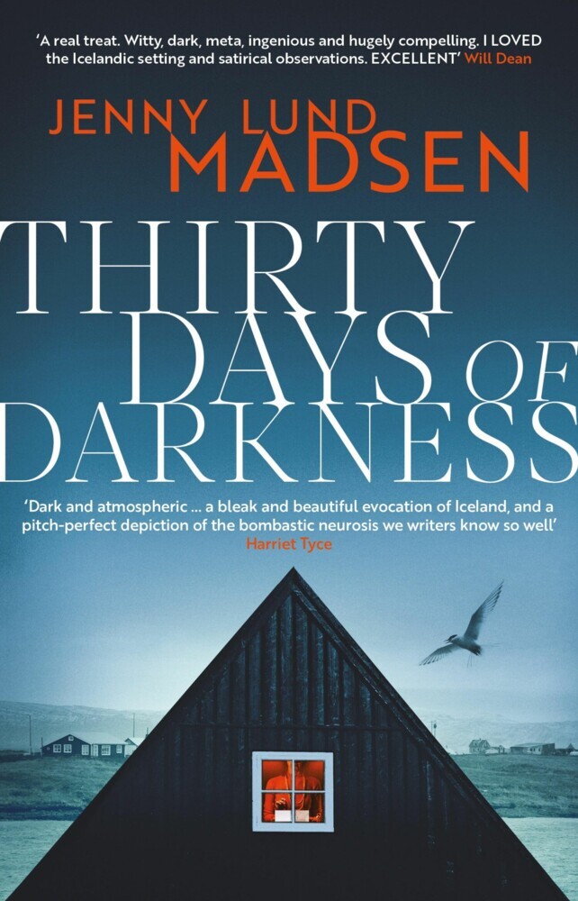 Thirty Days of Darkness: This year's most chilling, twisty, darkly funny DEBUT thriller... main product photo