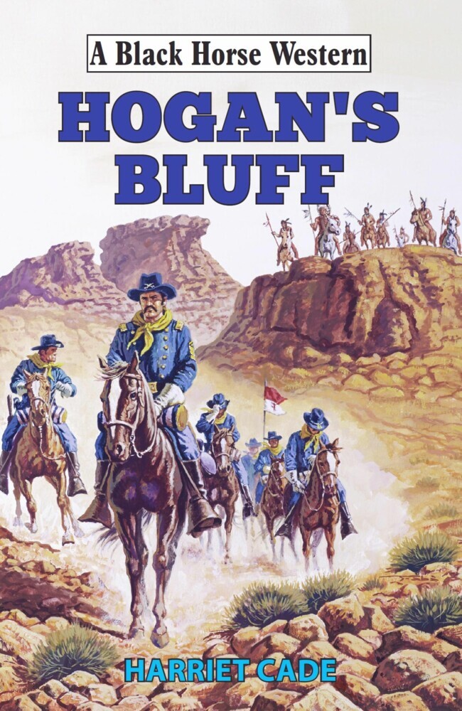 Hogan's Bluff main product photo