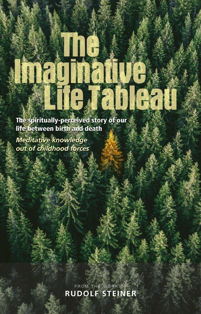The Imaginative Life Tableau main product photo