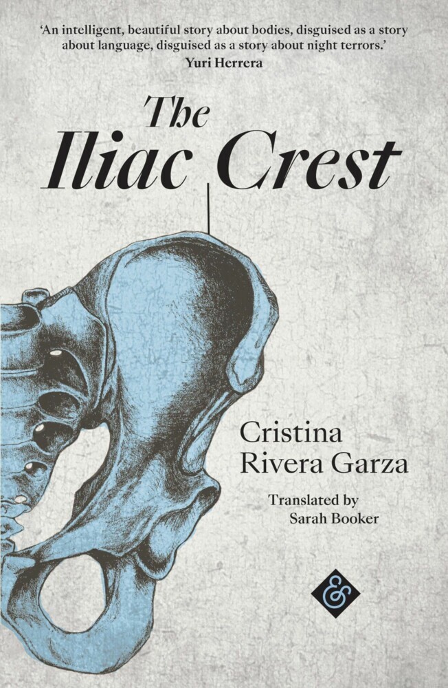 The Iliac Crest main product photo