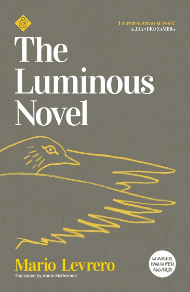The Luminous Novel main product photo
