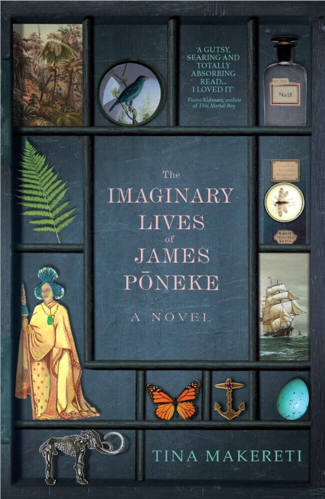 The Imaginary Lives of James Poneke main product photo