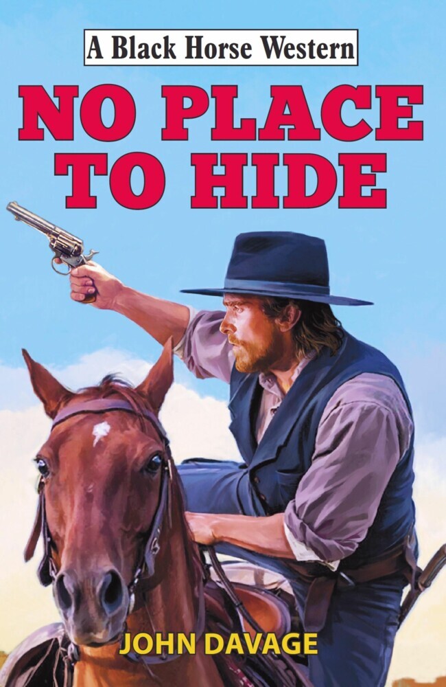 No Place to Hide main product photo
