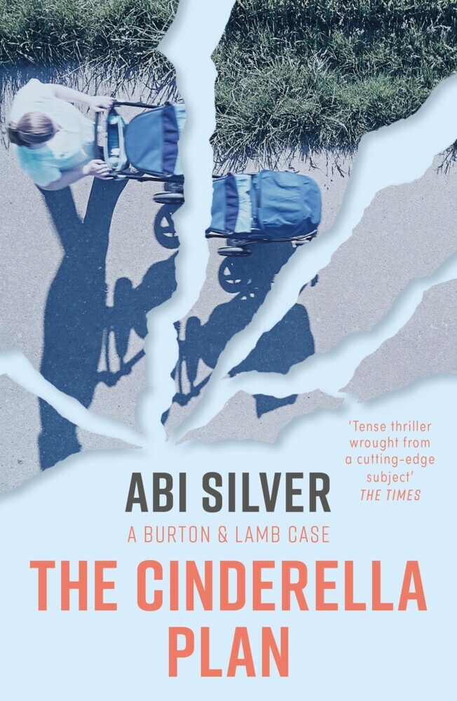 The Cinderella Plan main product photo